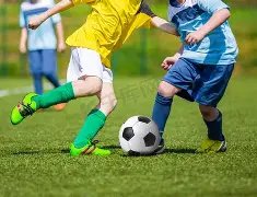 杨紫分享接,地气表情包,为张一山祝,开宝体育官网,APP下载,注册领彩金,官方网站,网站入口