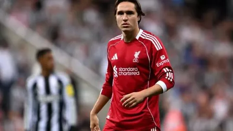 开宝体育 资讯 093939 3hl